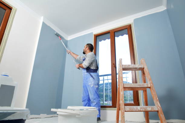 Biohazard Mold Removal in Tenino, WA