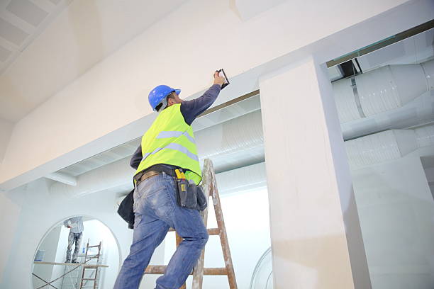 Reliable Tenino, WA Mold Removal Solutions
