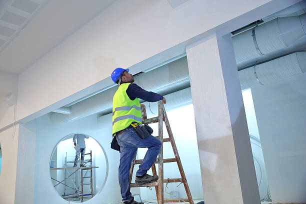 Environmental Consulting for Mold Prevention in Tenino, WA