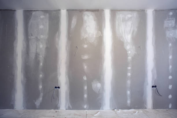 Best Mold Odor Removal Services  in Tenino, WA